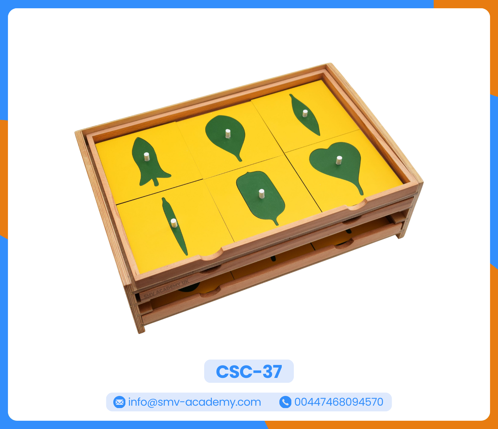 كابينة أوراق النبات | The Botany Cabinet